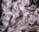 Gorgeous fleece