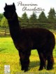 Miss P's Sire: Chocolateer