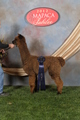 Cria - Zeus  