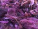 Sangria over mulit color fleece