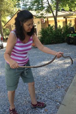Lin with smaller snake (headless)