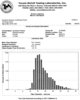 2013 Histogram