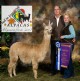 2007 OABA AlpacaFest CHAMPION!