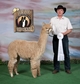 2011 AOBA National Show