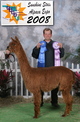 Tequilla's 2007 cria - Talwar