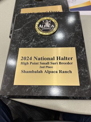 2024 High Point Small Suri Ranch 2nd Place - Shambalah Alpaca Ranch