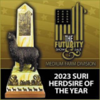 Herdsire of Year Medium Farm 2023