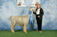 Cria TS Silver Splendor