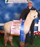 Sire- Invincible's White Satin Knight-3X Champion