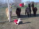 Kamali, 2nd from right-checking out the new cria