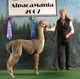 Calafia's 2006 Cria, Shazam's Silver Bullet