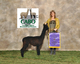 2011 Cria - Finest Jewel