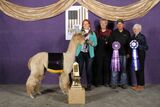 3X Judge's Choice & 14X Champion Son:  ESTATES PICASSO'S DUKE MALAGA