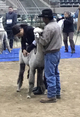 Estates Lillianna-1st Place WAC 2017-Judge Helen Testa checking fleece