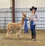 Daughter: ESTATES PICASSO'S LEAH ROSE XXX - 2022 Alpacapalooza & Northwest Alpaca Showcase