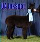 Sire:  UA INKSPOT