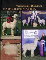 Paternal Grandsire: SNOWMASS MATRIX