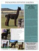 Sire:  PATAGONIA ESTATES SAKIMA