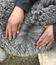 522G - Side Fleece March 2021