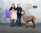 11X Champion Son:  ESTATES GIOVANNI'S TITANIUM ROYALE