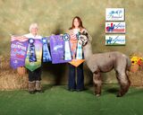 11X Champion Son: ESTATES GIOVANNI'S TITANIUM ROYALE