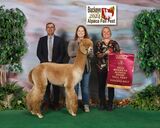 ESTATES RINGMASTER'S CROWN SCEPTER:  2024 Buckeye Show