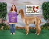 ESTATES RINGMASTER'S CROWN SCEPTER: 2024 Buckeye Alpaca Fall Fest