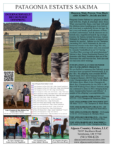 Potential Service Sire: PATAGONIA ESTATES SAKIMA