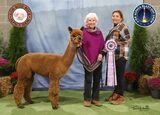 ESTATES PASSIONATE CHARLEMAGNE: 2024 A-OK Alpaca Blast-Off