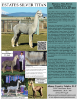 Possible Service Sire: ESTATES SILVER TITAN