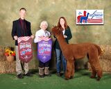 CCNF ALARRA:  2024 American Alpaca Showcase