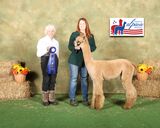 ESTATES XXXTREME LEGACY PASSION: 2024 American Alpaca Showcase 