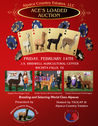 Please join us for our Inaugural ACE's Loaded Auction!