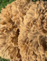 ESTATES TROY'S TROPICANA:  May 2024 Fleece