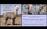 alpaca for sale