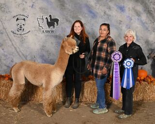 ESTATES RINGMASTER'S CROWN SCEPTER:  2024 Alpacapalooza