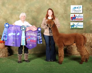 ESTATES RINGMASTER'S REGAL PRINCE:  2X Color Champion