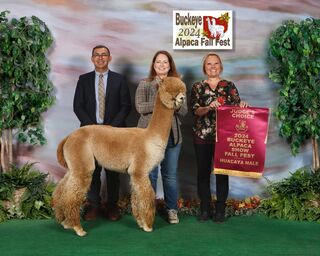 ESTATES RINGMASTER'S CROWN SCEPTER: 2024 Buckeye Alpaca Fall Fest