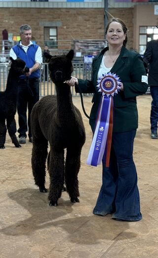 ESTATES MISS OREGON VICKI: Color Champion, 2024 Rose Rock Show