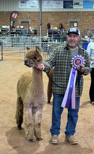 ESTATES ELECTROJET'S LEGACY LASS:  Color Champion, 2024 Rose Rock Show