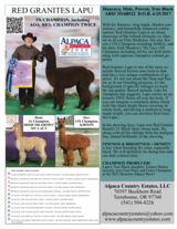 alpaca for sale