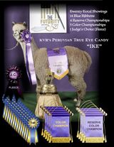 Sire:  KVR's PERUVIAN TRUE EYE CANDY ~  