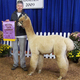 RESERVE CHAMPION Big E 2009