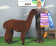 2nd Cria Jive Champion NECC