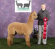 3rd Cria Sara D 2nd 2011 EXPO