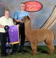 Bred to Jack for 2011 cria