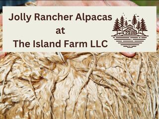Jolly Rancher Alpacas at The Island Farm - Logo