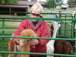 SANDOLLAR ALPACA IMMERSION WEEKEND!!