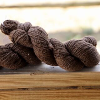 100% Alpaca (Alydar) Grade 0 150yds