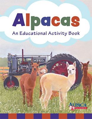 Alpaca Activity Book